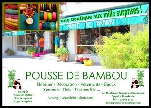 Pousse de Bambou